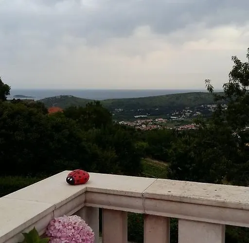 With A Parking Space Buici, Dubrovnik - 12987 Mlini